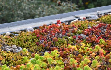 the cost of Kilmelford green roof installation