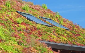 Kilmelford living roof systems