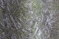 Kilmelford fibreglass roof work